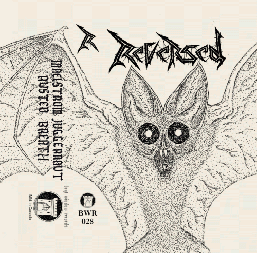 Reversed : Promo 2022